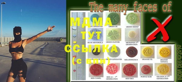 индика Алзамай